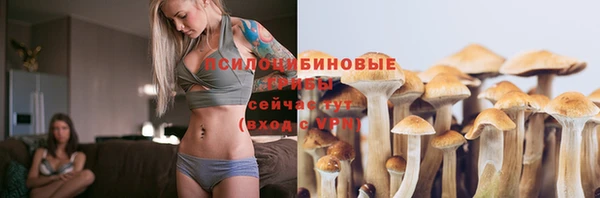 не бодяженный Богданович