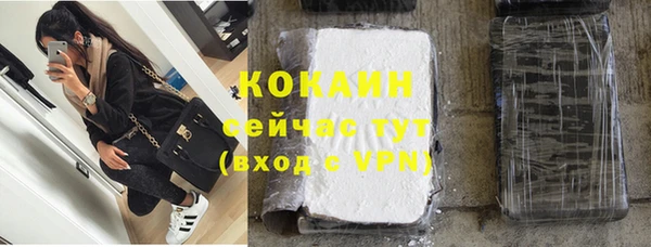 спиды Богородск